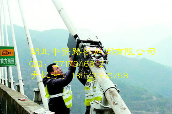【工程案例】 巴东长江公路大桥斜拉索检测机器人！